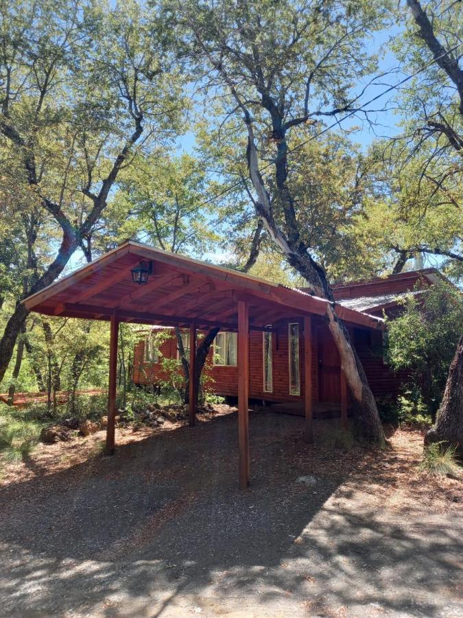 Cabanas Kalinaw Las Trancas Dış mekan fotoğraf